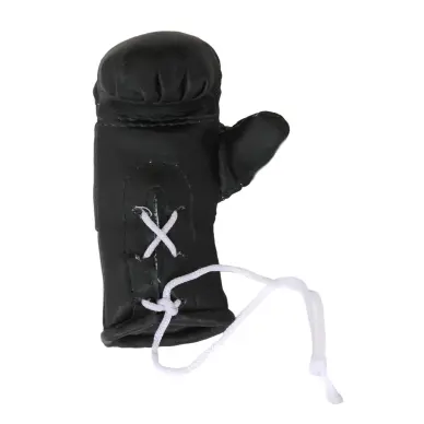 mini-gants-de-boxe-2-1415287581