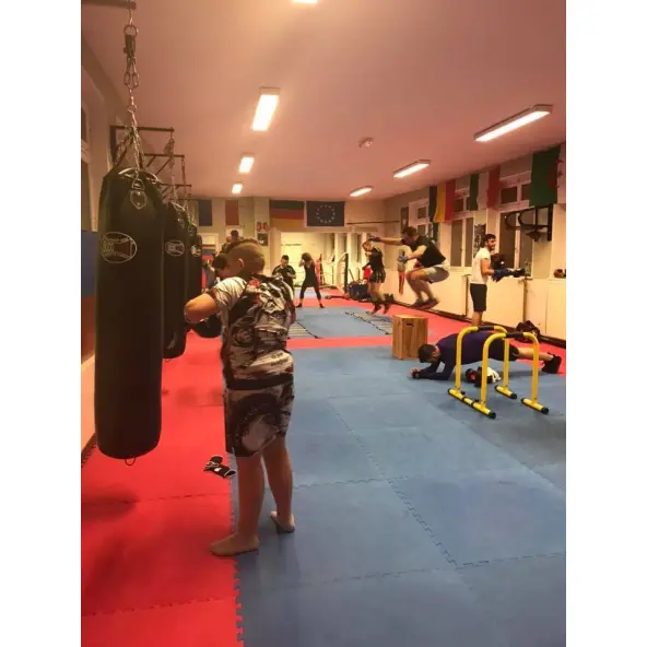 Saco de Boxeo Pro Budofight