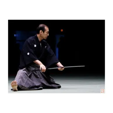 Katana Shinogi 75cm Importado de Japón - 4