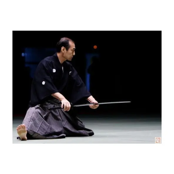 Katana Shinogi 75cm Importado de Japón