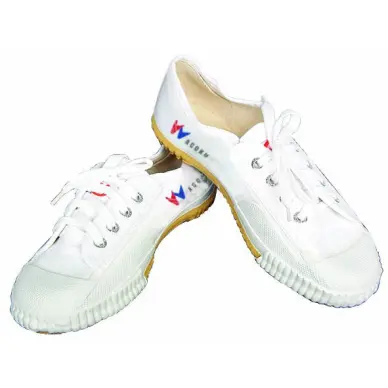 Zapatos de Kung Fu