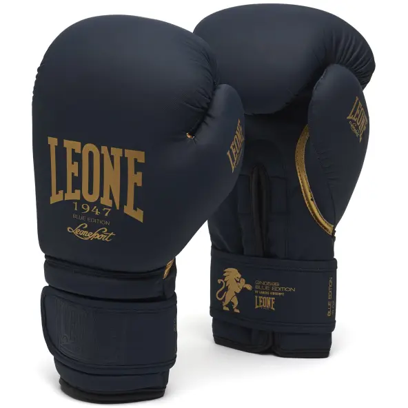 Guantes de boxeo Leone vintage