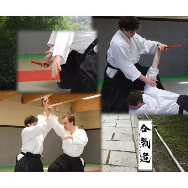 Kaiken Tanto Aikuchi Blanco Lacado Importado de Japón - 2