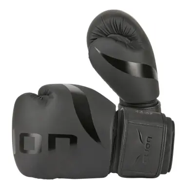 Guantes de Boxeo de Entrenamiento Elion Extravagant - 37