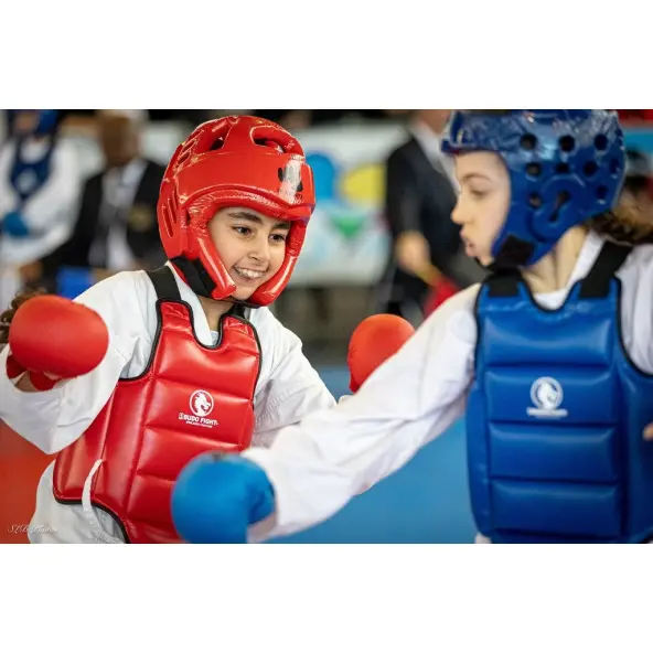 Peto de Karate reversible FFK