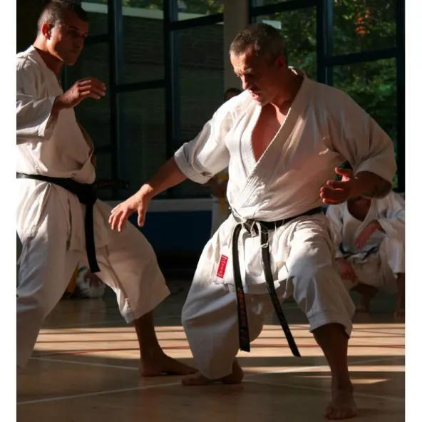Kimono de Karate Kamikaze Europa corte kata