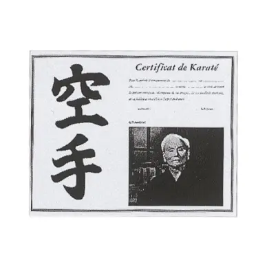 Certificado de Karate - 1