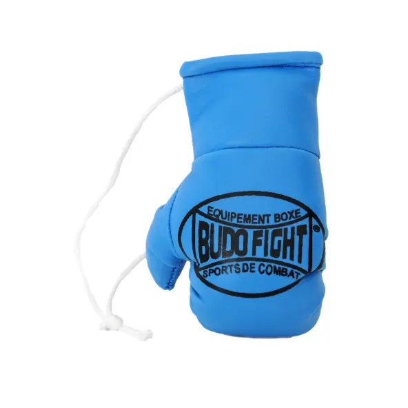 mini-gants-de-boxe-5-1415287596
