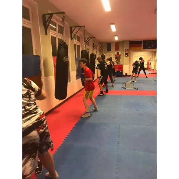 Saco de Boxeo Pro Budofight