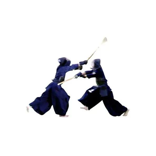 Shinai Adulto Mujer talla 38