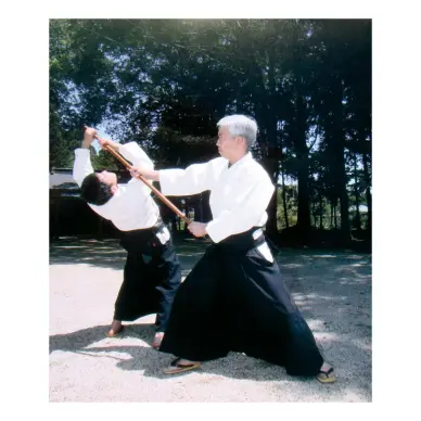 Hakama Aikido Azul - 9
