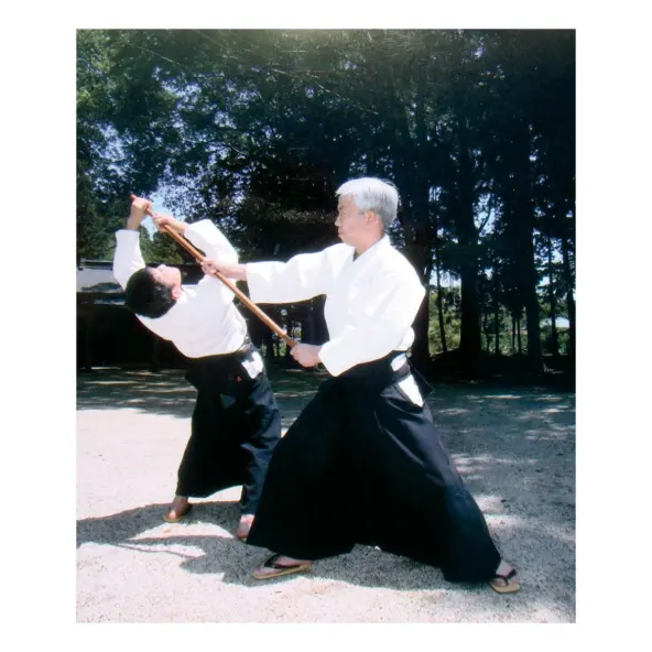 Hakama Aikido Azul