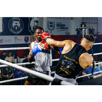 Guantes de Boxeo Competición Inglesa Amateur 100% cuero - 77