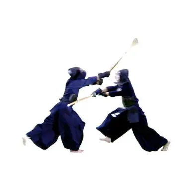 Shinai Adulto Mujer talla 38