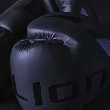 Guantes de Boxeo de Entrenamiento Elion Extravagant - 65