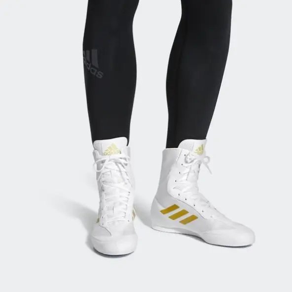 Zapatillas de boxeo Adidas Box Hog Plus