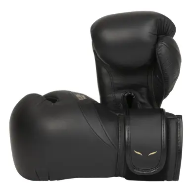 Guantes de boxeo Elion Elegante 100% cuero - 6