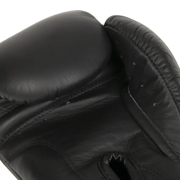 Guantes de boxeo Elion Elegante 100% cuero