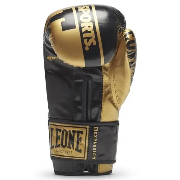 Guantes de Boxeo Leone Nexplosion