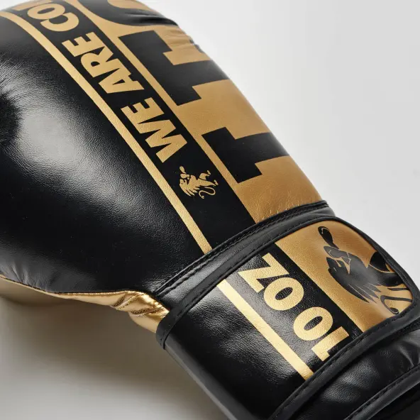 Guantes de Boxeo Leone Nexplosion