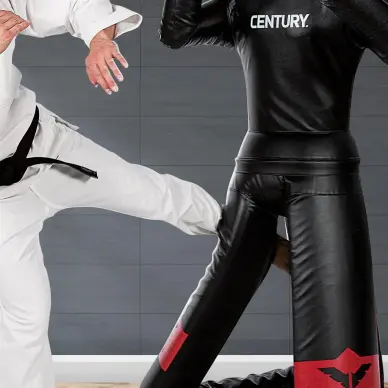 Base de frappe Century Versys VS Bob - 7