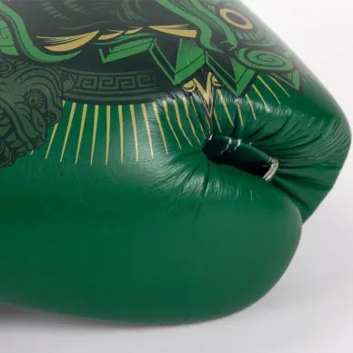 Guantes de boxeo Fairtex Atencio Resurrection