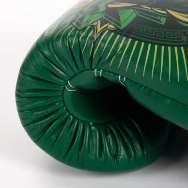 Guantes de boxeo Fairtex Atencio Resurrection - 10