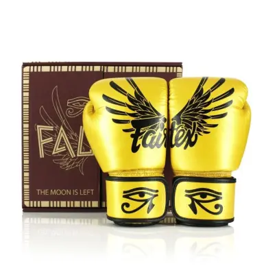 Guantes de boxeo de entrenamiento Fairtex Falcon 100% cuero