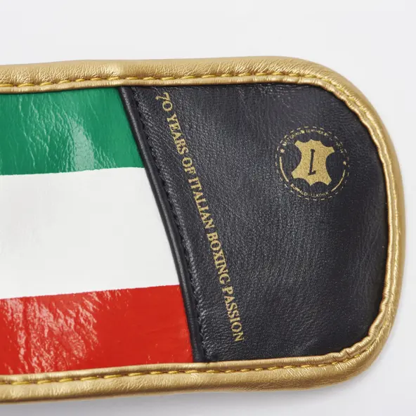 Guantes de Boxeo Leone Italia