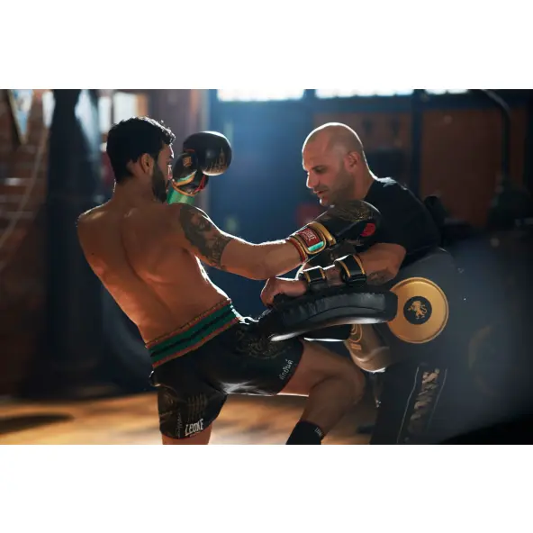 Pao de Boxeo curvado Leone