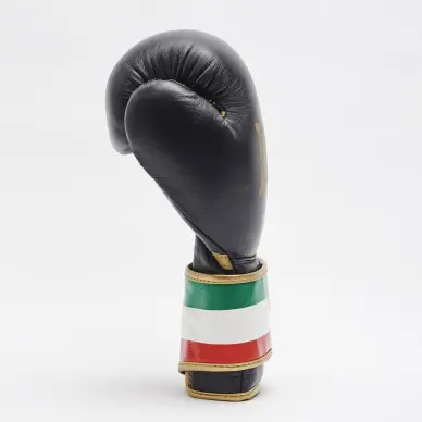 Guantes de Boxeo Leone Italia - 11
