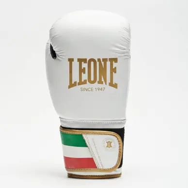 Guantes de Boxeo Leone Italia - 14