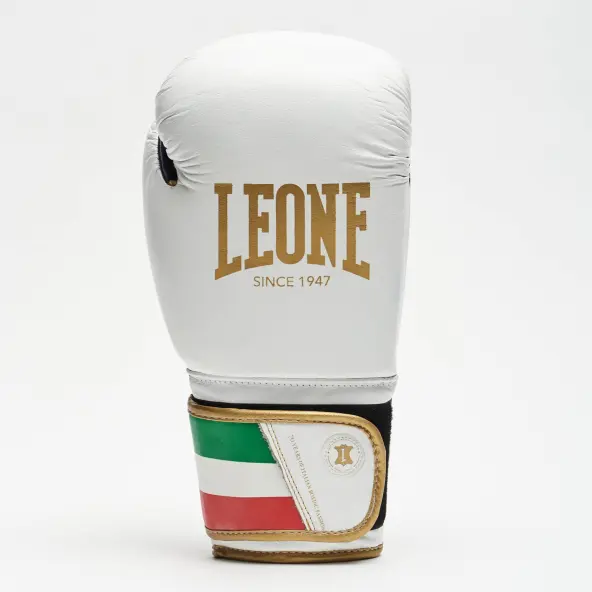 Guantes de Boxeo Leone Italia