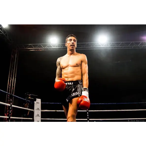 Guantes de boxeo Leone Ambassador 100% cuero