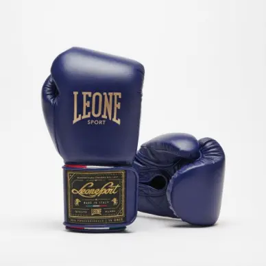 Guantes de Boxeo Leone Orlando Tricolor - 2