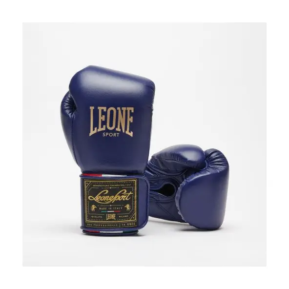 Guantes de Boxeo Leone Orlando Tricolor