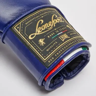 Guantes de Boxeo Leone Orlando Tricolor - 5