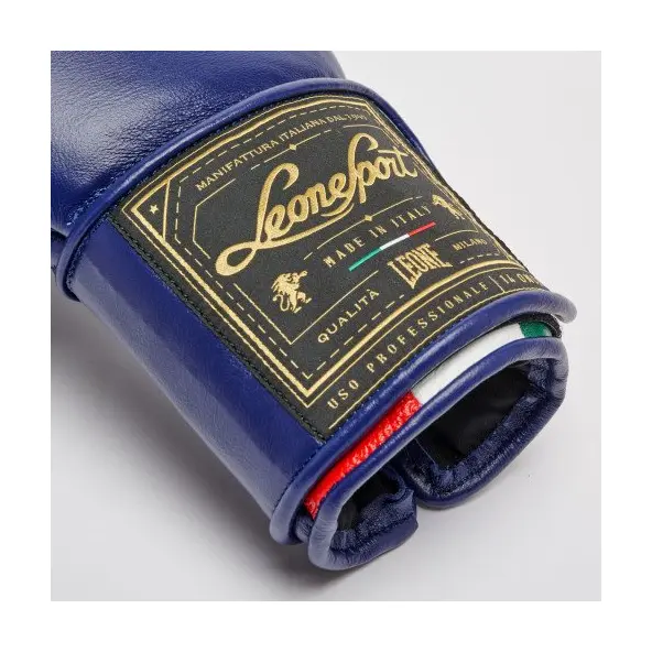 Guantes de Boxeo Leone Orlando Tricolor
