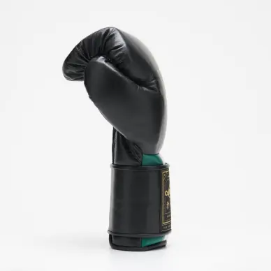 Guantes de Boxeo Leone Orlando Tricolor - 12