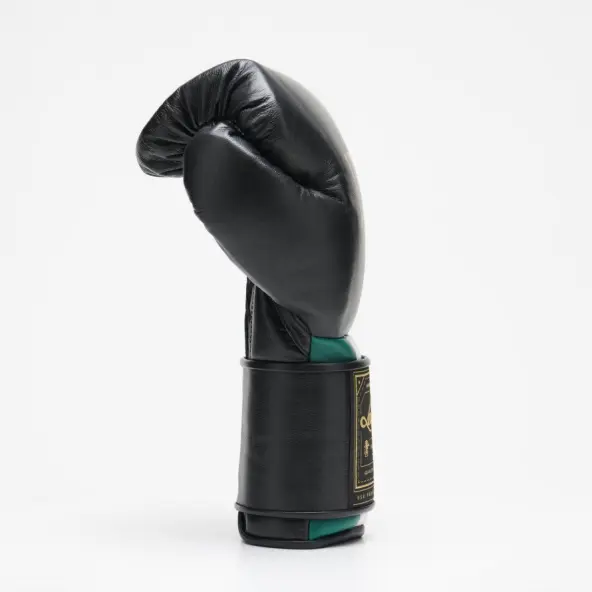 Guantes de Boxeo Leone Orlando Tricolor