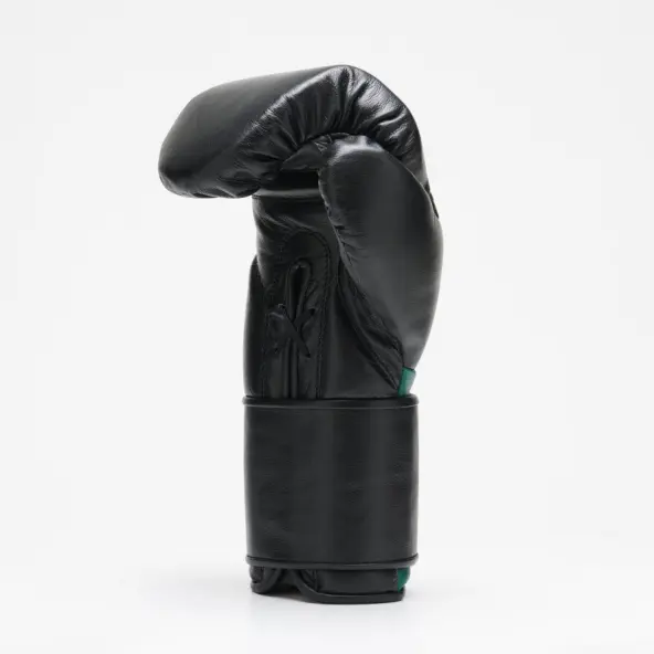 Guantes de Boxeo Leone Orlando Tricolor