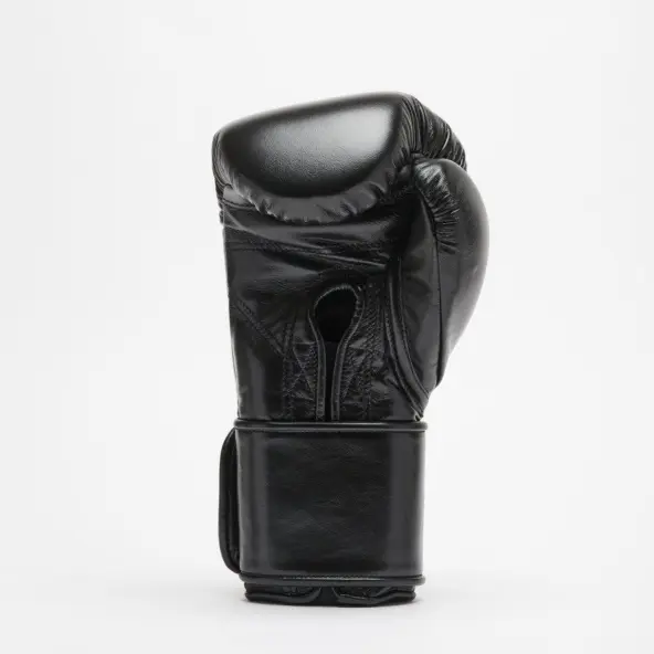 Guantes de Boxeo Leone Orlando Tricolor
