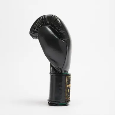 Guantes de Boxeo Leone Orlando Tricolor - 16