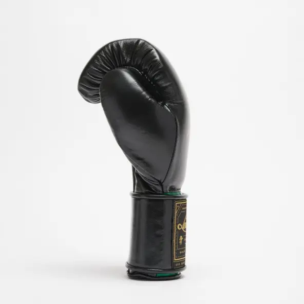 Guantes de Boxeo Leone Orlando Tricolor