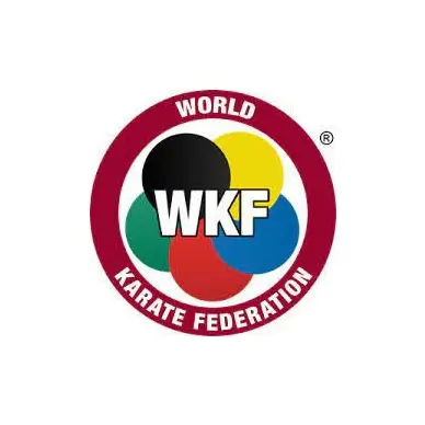 Kimono Karate Punok Gold corte kata WKF con logo bordado - 3