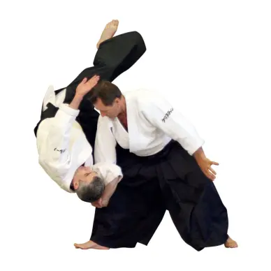 Hakama Aikido Negro Meiji Importación Japón