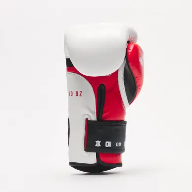 Guantes de Boxeo Leone Il Tecnico 3