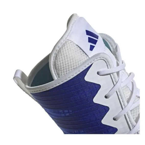 Zapatillas de Boxeo Adidas Box Hog IV