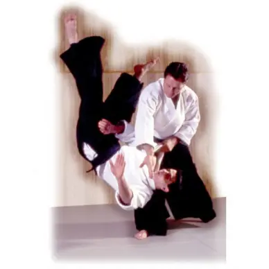 Hakama Aikido Azul Iwata Importación Japón - 1