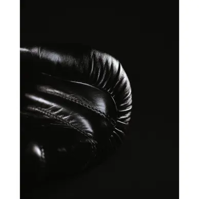 Guantes de Boxeo Omega 100% Cuero - 4